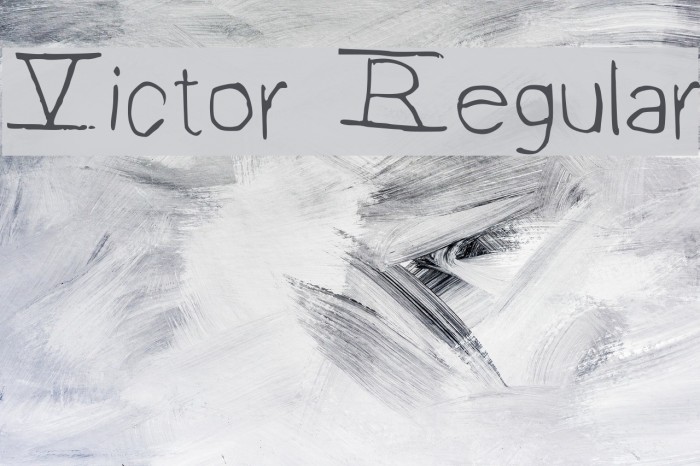 Victor Regular Font examples