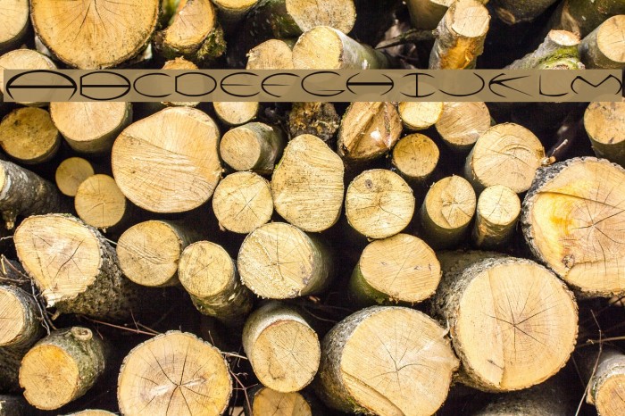 Victor Font examples