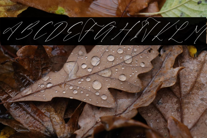 Victoria Cordeline DEMO VERSION Italic Example 1