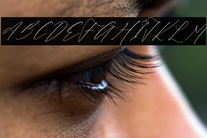 Victoria Cordeline DEMO VERSION Italic Example 3