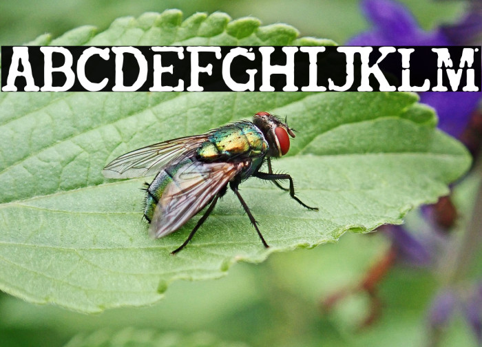 Victoria Gr  examples