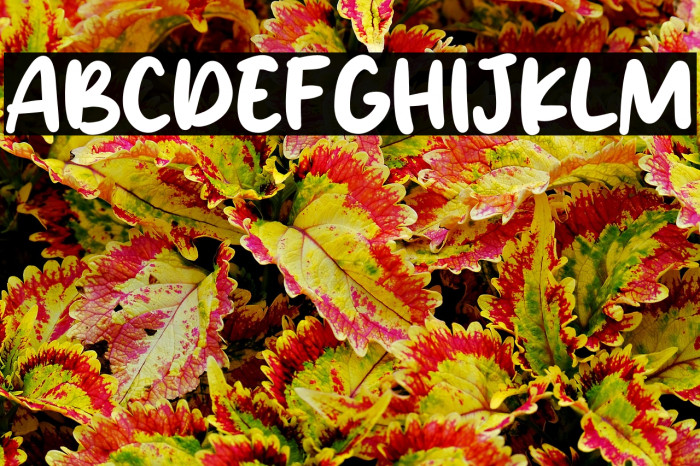 Victoria Karen Example 3