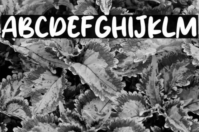 Victoria Karen Fonte examples