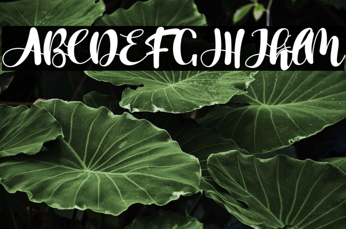 Victoria Melody Example 1