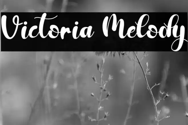 Victoria Melody Font examples
