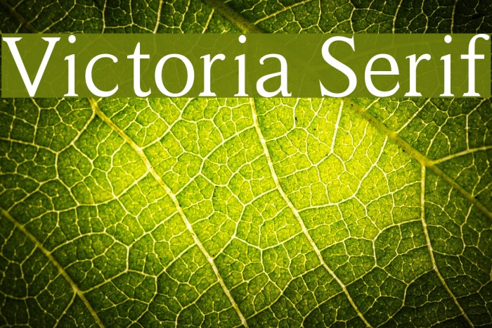 Victoria Serif Font examples