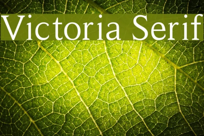Victoria Serif Example 2