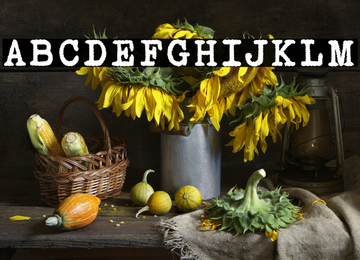 Victoria Typewriter Bold Example 1