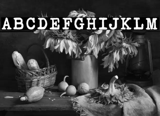 Victoria Typewriter Bold Font examples