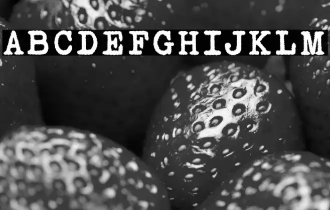 Victoria Typewriter Bold Font examples