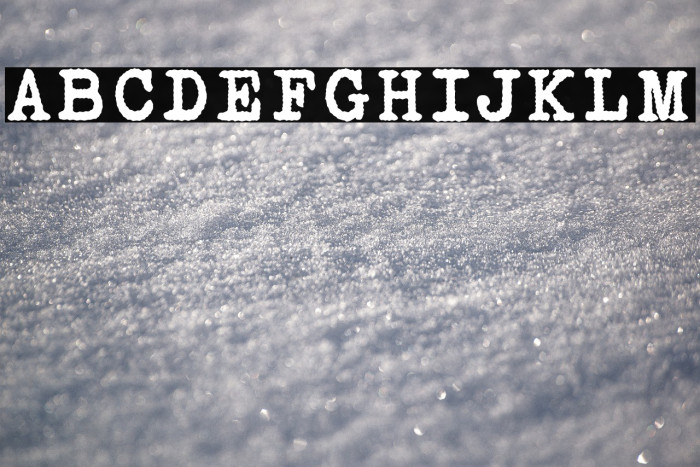 Victoria Typewriter Bold Example 3