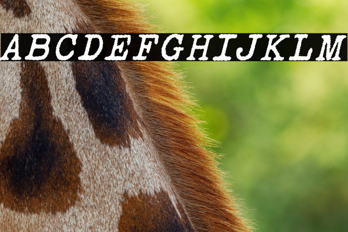 Victoria Typewriter Italic Example 2