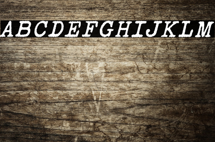 Victoria Typewriter Italic Example 3