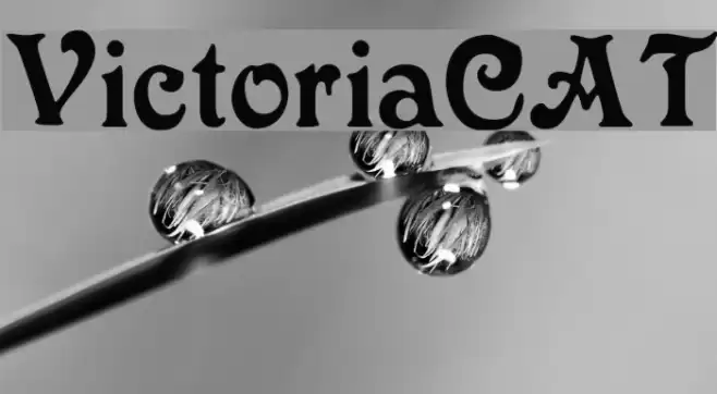VictoriaCAT Font examples
