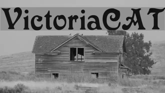 VictoriaCAT Font examples