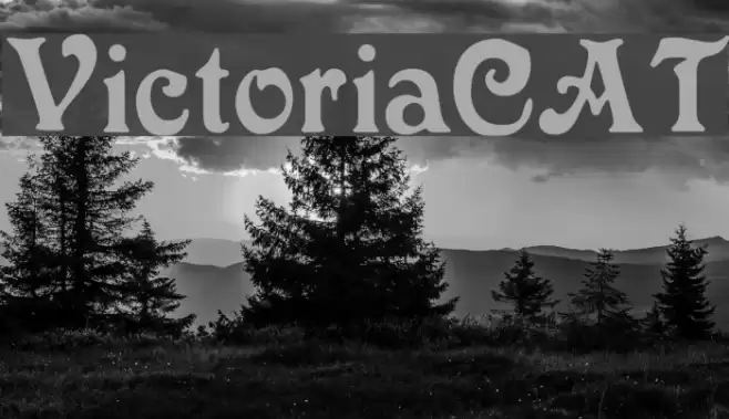 VictoriaCAT Font examples