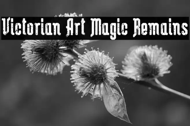 Victorian Art Magic Remains Font examples