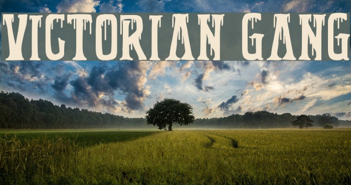 Victorian Gang Example 1