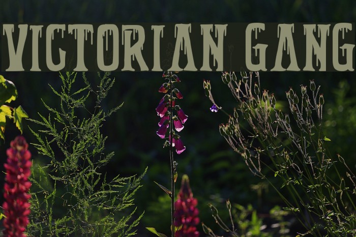 Victorian Gang Example 3