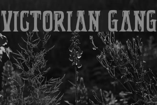 Victorian Gang Font examples