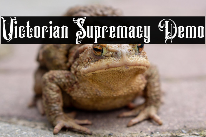 Victorian Supremacy Demo Example 1