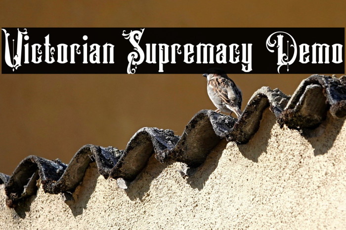 Victorian Supremacy Demo Example 3