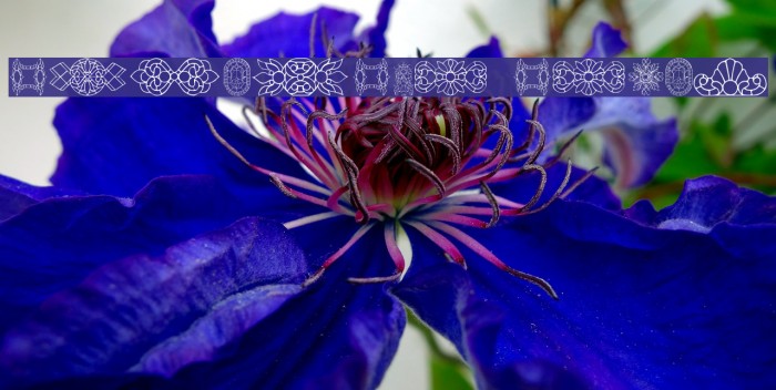 Victorian Window Example 1