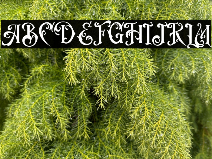 VictorianDecadeDemoVersion Example 1