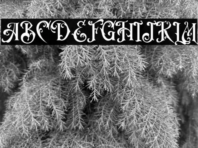 VictorianDecadeDemoVersion Font examples