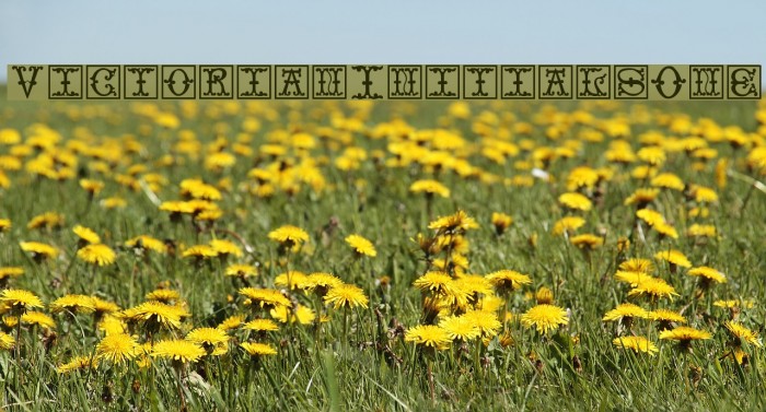 VictorianInitialsOne Font examples
