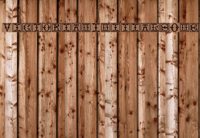 VictorianInitialsOne Font examples