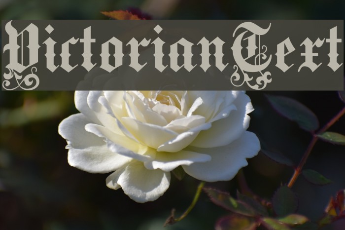 VictorianText Font examples