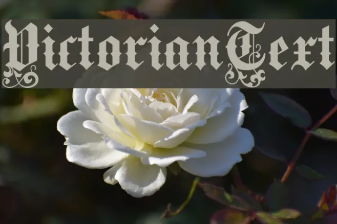VictorianText Example 3
