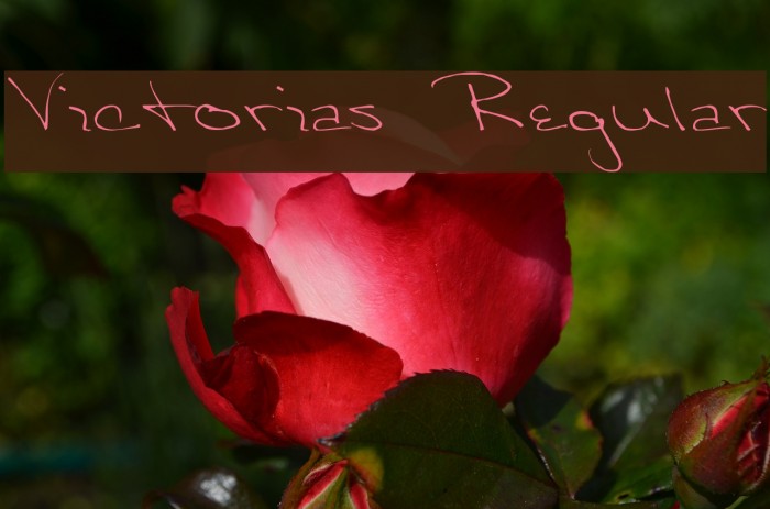 Victorias Regular Font examples