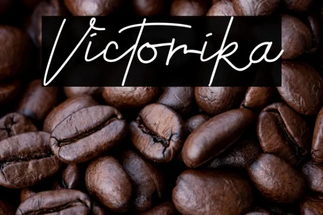 Victorika Example 2