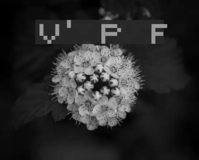 Victor's Pixel Font Caratteri examples