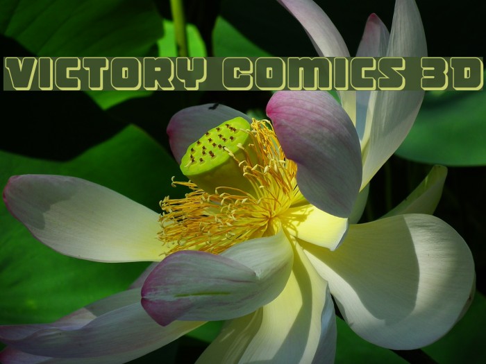 Victory Comics 3D Font examples