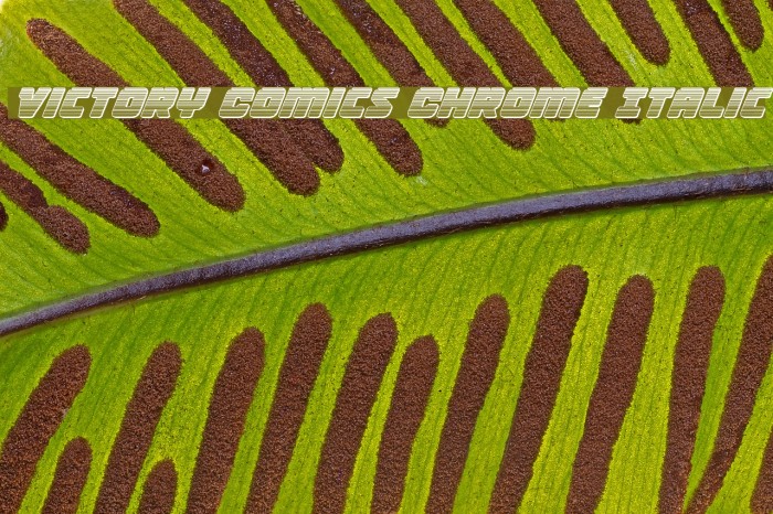 Victory Comics Chrome Italic Example 2