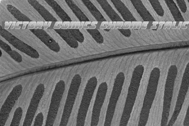 Victory Comics Chrome Italic Font examples