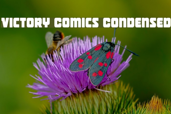 Victory Comics Condensed Font examples
