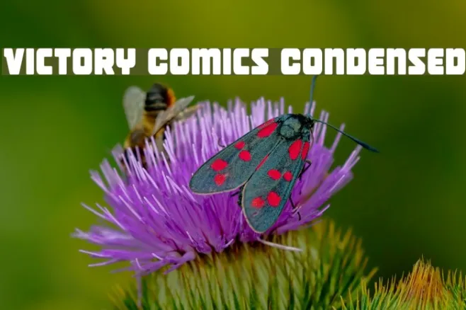 Victory Comics Condensed Example 1
