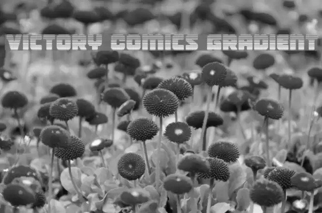Victory Comics Gradient Font examples