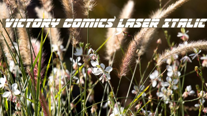 Victory Comics Laser Italic Font examples