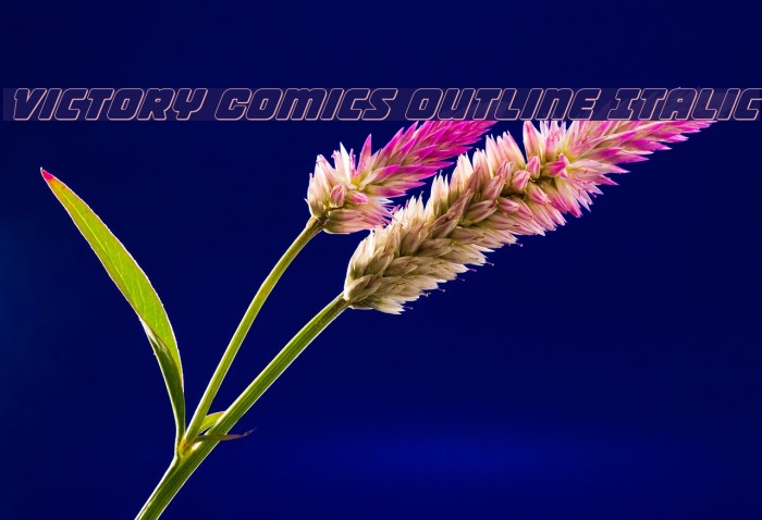 Victory Comics Outline Italic Example 2