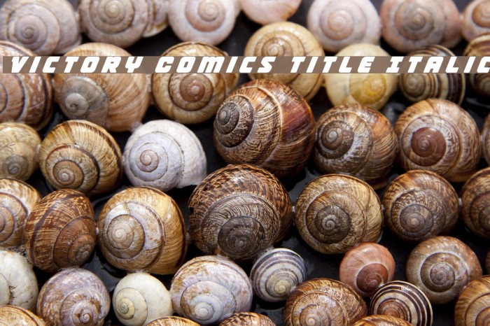 Victory Comics Title Italic Example 3