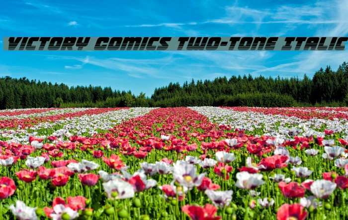 Victory Comics Two-Tone Italic Font examples