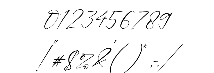 Victory Landera Italic Font OTHER CHARS