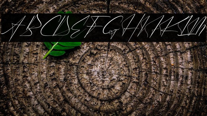 Victory Landera Italic Example 1