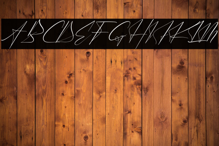 Victory Landera Italic Example 2