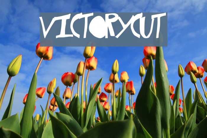 VictoryCut Font examples